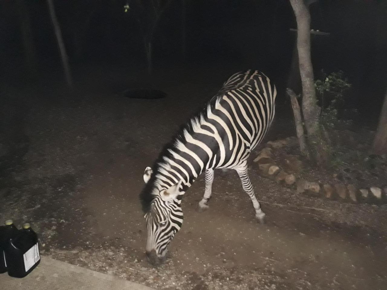 African Sky Marloth Park Exterior photo